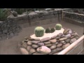 Jardin de cactus en oiartzun