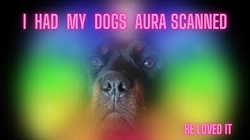 Healy for Pets - Aura scan