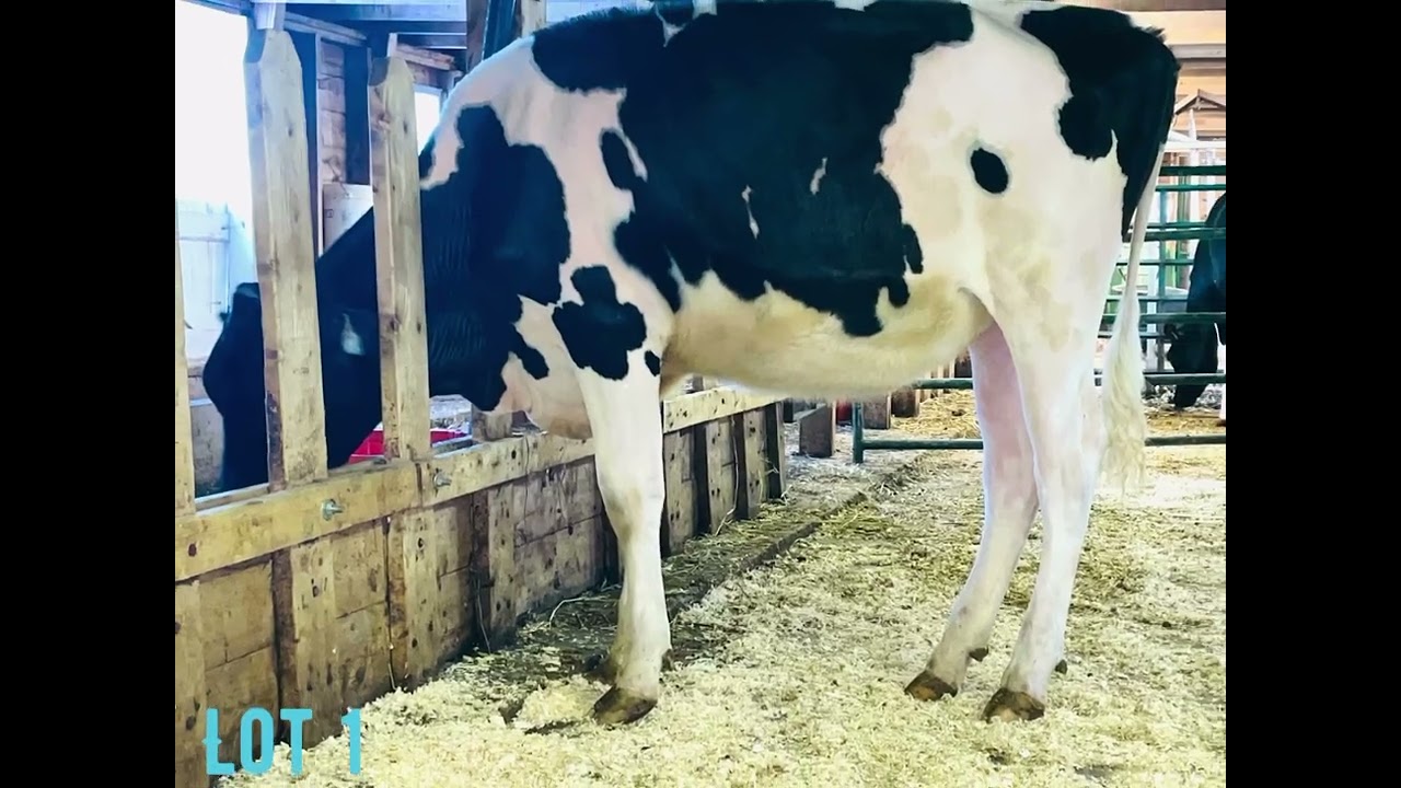 Radiant Spotlight Sale