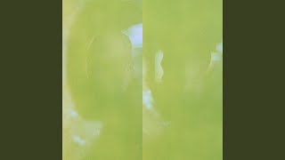 Vision + Television