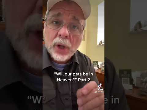 Do pets go