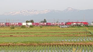 【東北本線】2019.5.26 貨物列車