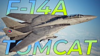 How Much Better Is The F-14A TGM? | Ace Combat 7 Analyzed