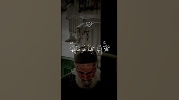 #اكتب_شي_تؤجر_عليه #تلاوة_خاشعة #ماهر_المعيقلي #قرآن #خالد_الجليل #ياسر_الدوسري #قران_كريم #الله