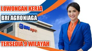 Lowongan Kerja Bank Rakyat Indonesia Agroniaga Tbk (BRI AGRO) 2020