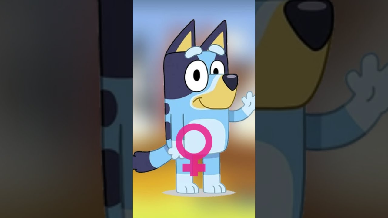 Is Bluey A Boy Or Girl Shorts