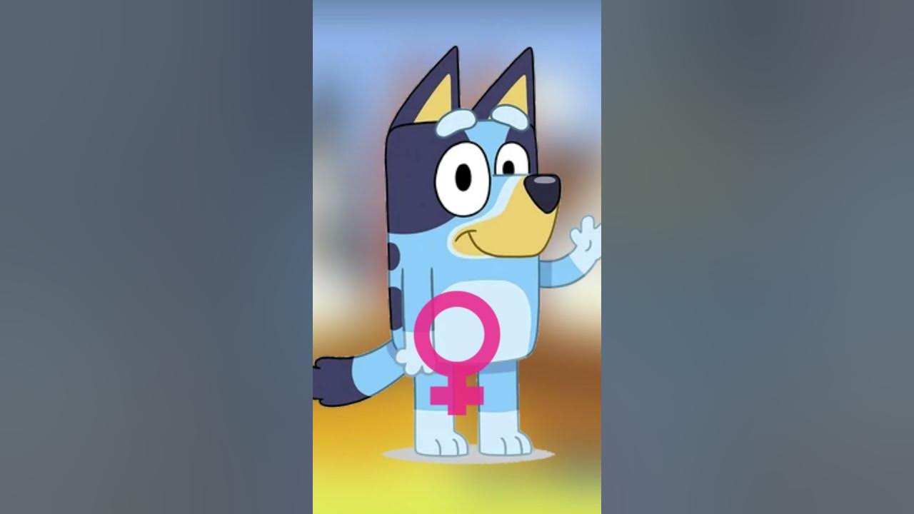 Is Bluey a Boy or a Girl?? #shorts #bluey