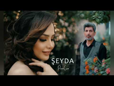 شيدا تونزاني şeyda Tu Nizanî