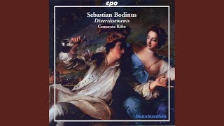 Sonata No. 1 in D Major (Musikalischen Divertissements, sechster Theil) : II. Largo