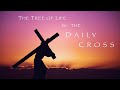 The tree of life is the daily cross