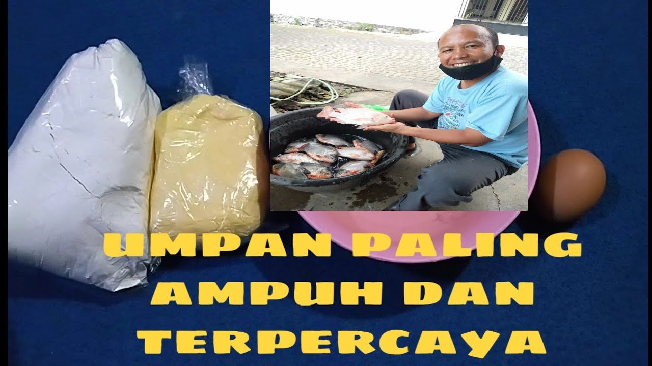 umpan ikan