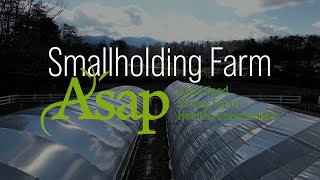 Meet Your Farmer: Smallholding Farm