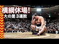 横綱 大の里 泰輝 休場！春場所4日目で決断…初日から3連敗の衝撃｜大相撲春場所