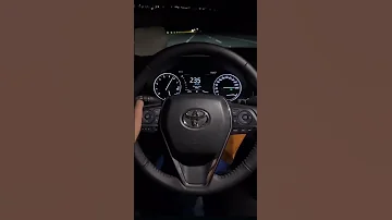يفيد بيه الندم بدو سيناء 