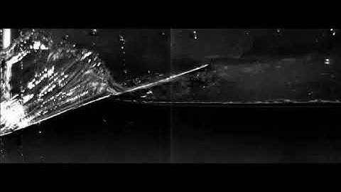 Analysis of hydroelastic slamming through particle image velocimetry