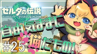 【#ゼルダの伝説ティアーズオブザキングダム 】自由奔放勇者(猫)の大冒険🐱🏹#25【#vtuber 】＃furry #ケモノvtuber