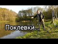 Поклевки за вчерашний день. Видео будет на днях...