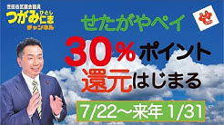 世田谷区議会議員 つがみひとし チャンネル Youtube