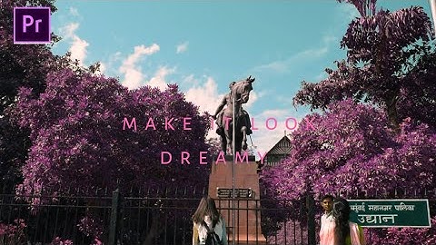Dreamy Pink Nature Effect | Adobe Premiere Pro  ( Easy Tutorial )