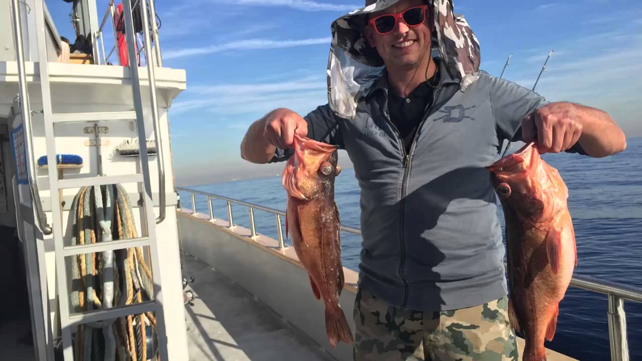 Deep sea fishing in Los Angeles - YouTube