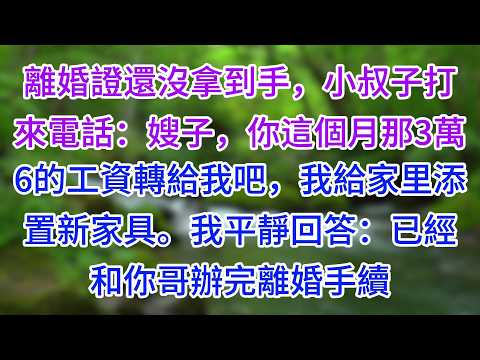 離婚證還沒拿到手，小叔子打來電話：嫂子，你這個月那3萬6的工資轉給我吧，我給家里添置新家具。我平靜回答：已經和你哥辦完離婚手續#為人處世#生活經驗#情感故事#故事#小說#戀愛#情感#婚姻