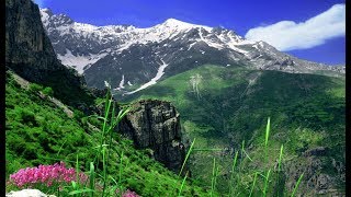 Xuşk U Brayên Eziz Xatrê We Silav Û Rêz Remezan Kerim Osmanov