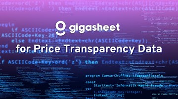 Healthcare Price Transparency Data Analytics by Gigasheet