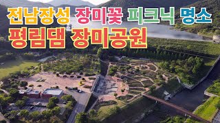 전남 장미꽃명소 장성 평림댐 장미공원 5월 10일 개화상황