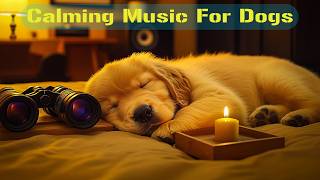 12 HOURS of Dog Calming Music for Dogs🦮💖Anti Separation Anxiety Relief Music🐶🎵Music for Dogs
