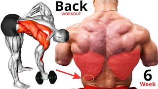 6 برنامج تمارين الظهر قوة ونحت العضلات بفعالية | Effective Back Workout Program 6 Strength &amp; Sculpt