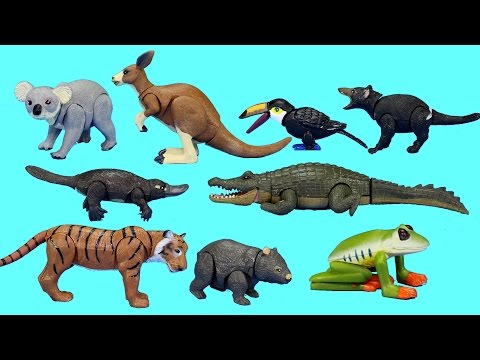 toy animals youtube