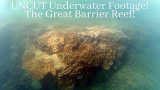 ALL of our Snorkeling Footage UNCUT: The Great Barrier Reef, Australia!
