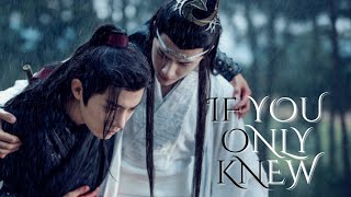 陈情令 | The Untamed FMV - If You Only Knew - Shinedown | Wei WuXian and Lan Wangji | WangXian moments