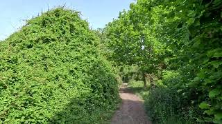 Banstead Footpath/Bridleway 2