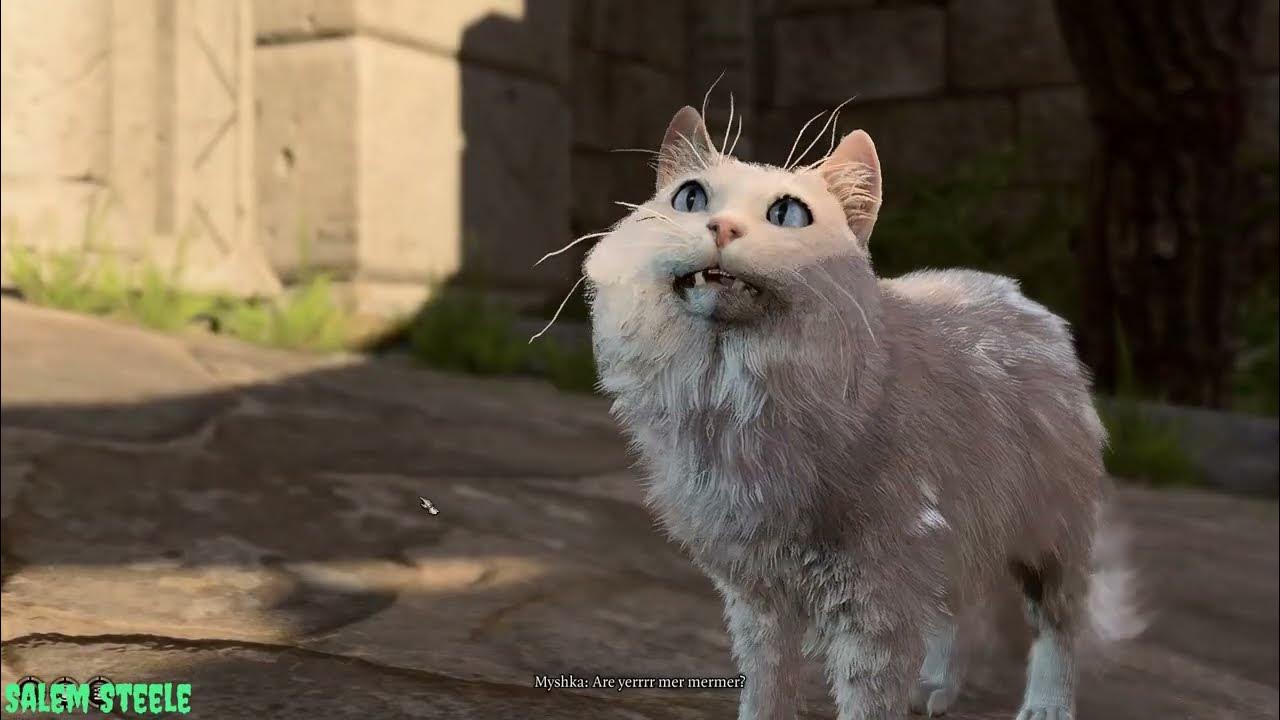 Bg3 why speak with animals is a must kitty edition x3 youtube