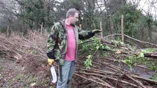 How to ...Traditional Hedge Laying in the South of England Style