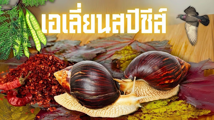 10 เอเลี่ยนสปีชีส์ที่กลายเป็นสิ่งมีชีวิตพื้นถิ่นของไทย
