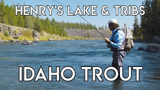 Henry's Lake & Tributaries for Trout | Idaho