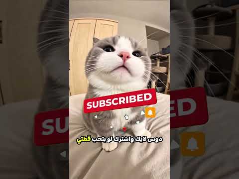 الولد دا قاعد في فندق خربان