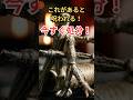 家にこれがあるだけで呪われます！今すぐ処分！