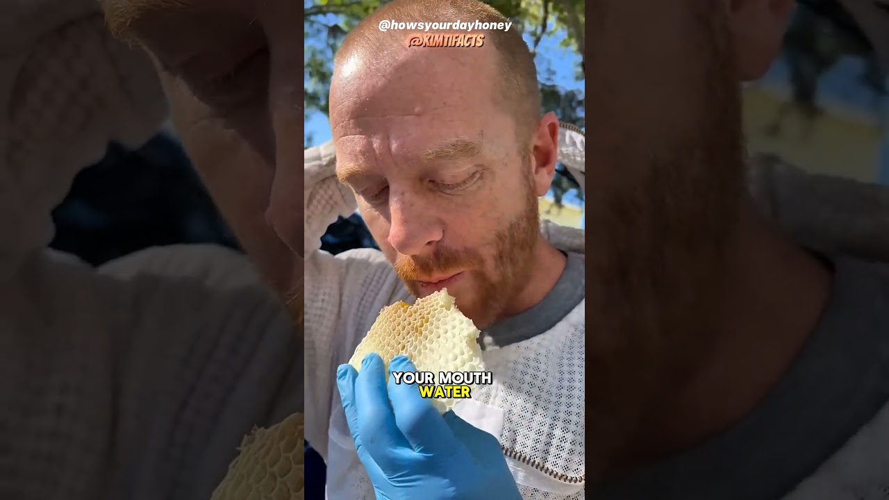 The Most Satisfying Bee Rescue Ever Filmed! 🐝✨ #shorts