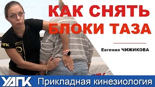 Суставные блоки таза (Евгения Чижикова)