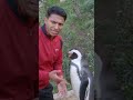 interrogate penguin  #animation #ai #animals #cartoon #penguin #statusvideo #status #whatsappstatus