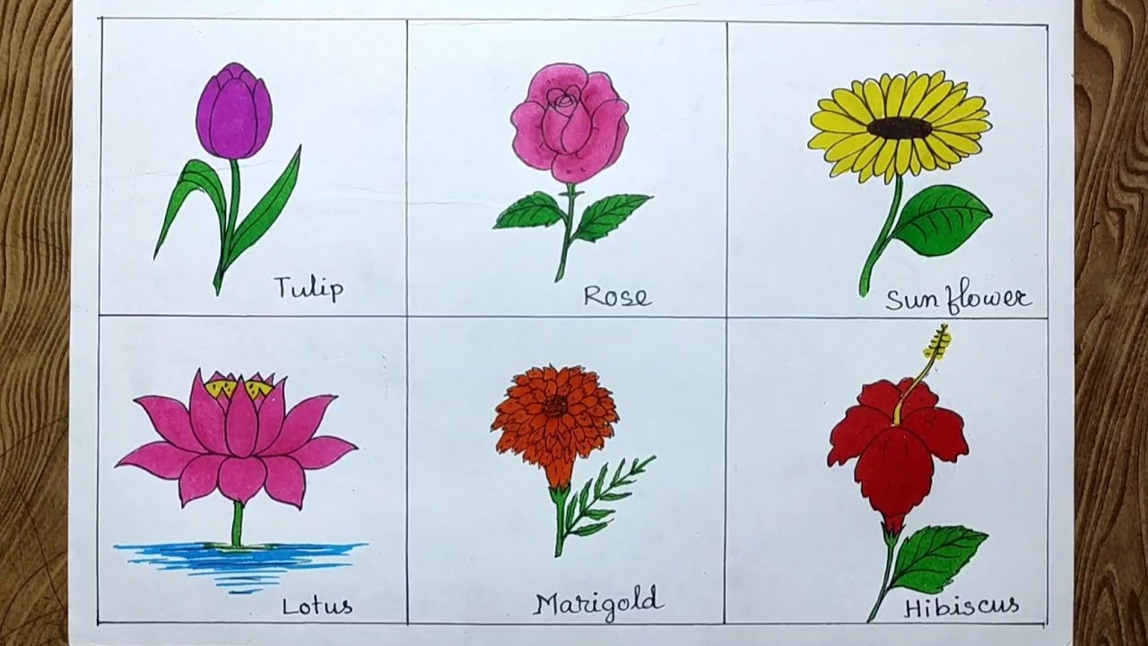 How to draw flowers/ Different types of flowers drawing for ...