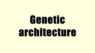 Genetic architecture
