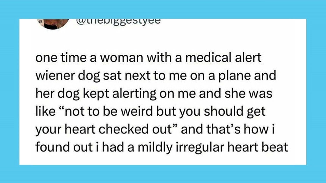 These Absurd Tweets Will Either Crack You Up or Make You Question Humanity (New)