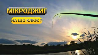 НАЛОВИВ ОКУНІВ НА УЛЬТРАЛАЙТ. Як ловити окуня на спінінг? Окунь на джиг восени.