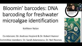 Bloomin' Barcodes: DNA Barcoding for Freshwater Microalgae Identification Wealth