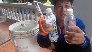 Hướng dẫn cách làm chai câu cá đối nổi trên mặt nước Và dùng bột mì cho heo ăn nha :