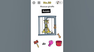 Brain Out Level 39 Rescue giraffe